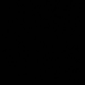 Meet your Posher, Fatima